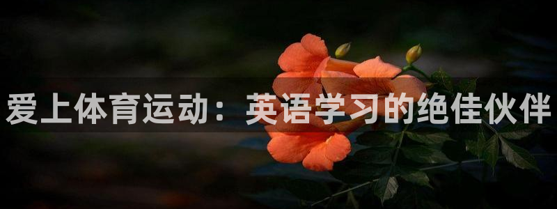 3377体育官方正版app新能源：爱上体育运动：英语