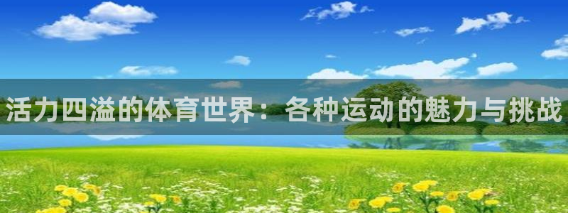 3377体育官方正版app娱乐网站：活力四溢的体育世界：各种