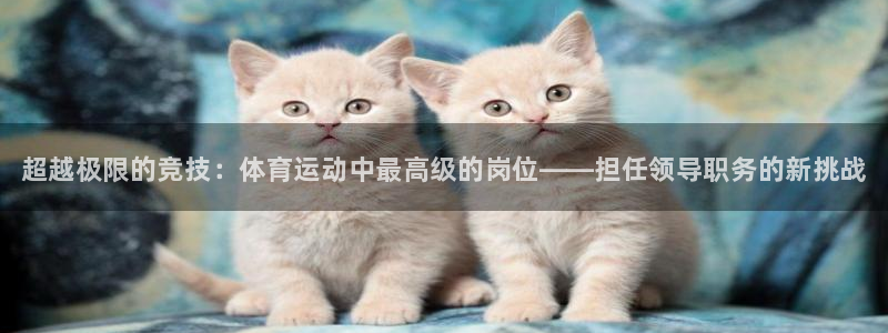 3377体育官网下载平台注册流程视频：超越极限的竞技