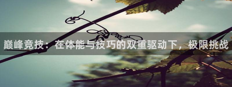 3377体育官网下载招商：巅峰竞技：在体能与技巧的双
