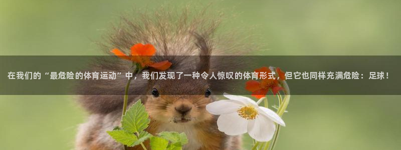 3377体育官网下载开户：在我们的“最危险的体育运动