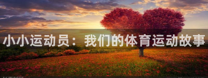 3377体育官网下载招商：小小运动员：我们的体育运动