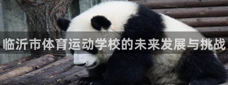 3377体育官方正版app新能源：临沂市体育运动学校的未来发