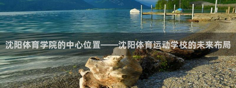 3377体育官网下载招商电话是多少：沈阳体育学院的中心位置—