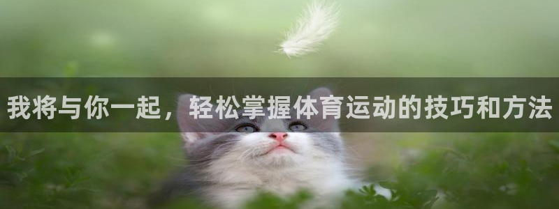 3377体育官网下载平台注册要钱吗是真的吗：我将与你一起，轻