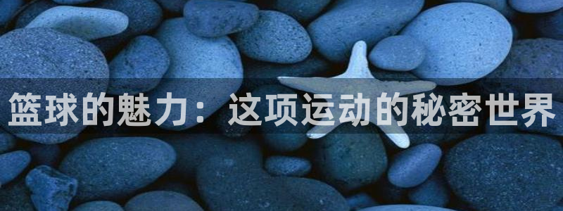 3377体育官网下载招商电话号码查询：篮球的魅力：这项运动的