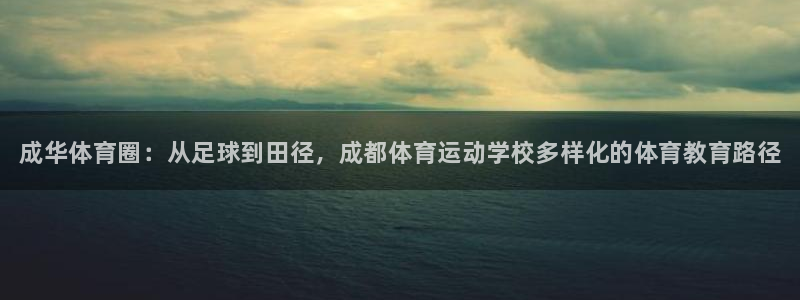 3377体育官网下载平台注册：成华体育圈：从足球到田径，成都