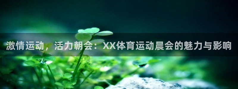 3377体育官方正版app集团logo：激情运动，活