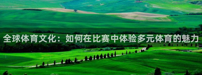 3377体育官方集团官网：全球体育文化：如何在比赛中体验多元