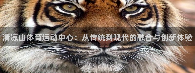 3377体育官方正版app科技：清凉山体育运动中心：