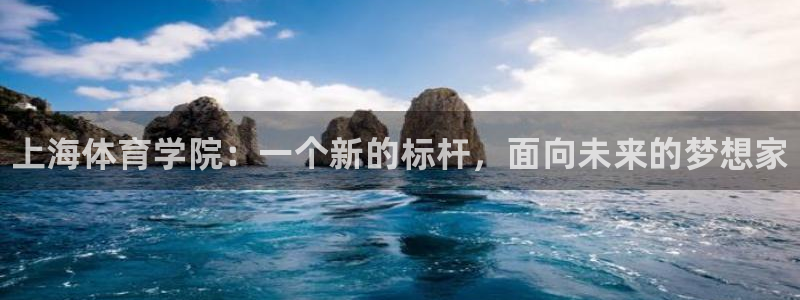 3377体育官网下载娱乐：上海体育学院：一个新的标杆