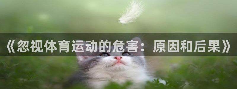 3377体育官方正版app代理：《忽视体育运动的危害：原因和