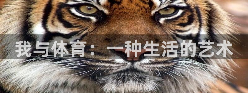 3377体育官网下载招商电话号码