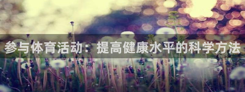 3377体育官方正版app集团官网网址