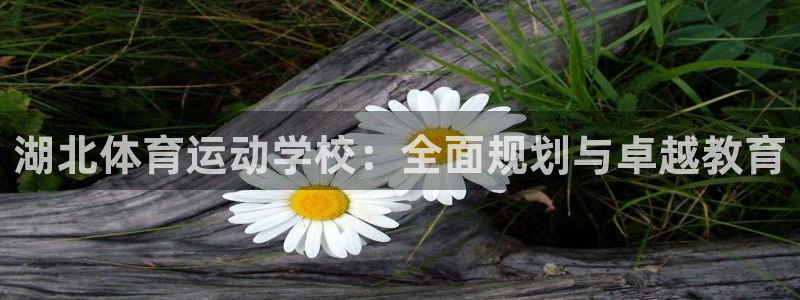 3377体育官网下载招商：湖北体育运动学校：全面规划与卓越教