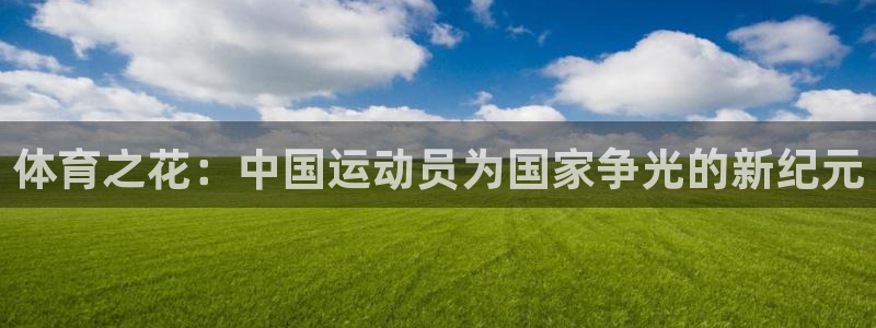 3377体育官方正版app新能源