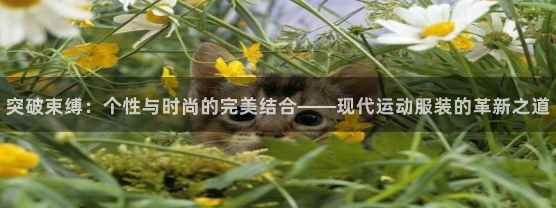 3377体育官网下载平台假的吗是真的吗吗：突破束缚：个性与时