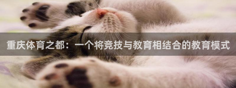 3377体育官方正版app娱乐首页网站大全