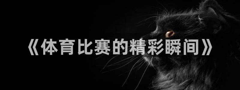 3377体育官网下载招商电话号码是多少号：《体育比赛