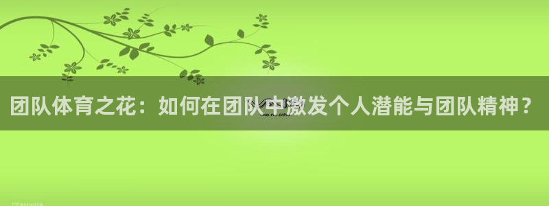 3377体育官方正版app官方：团队体育之花：如何在团队中激