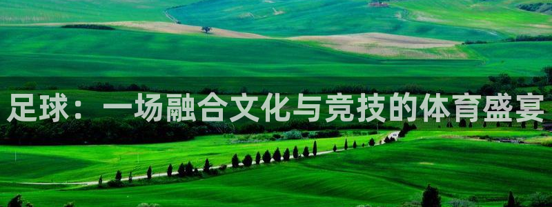 3377体育官方正版app集团官网首页：足球：一场融