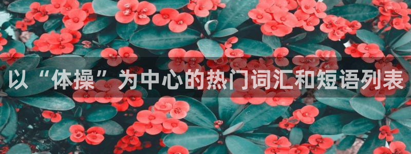 3377体育官方正版app娱乐平台：以“体操”为中心的热门词