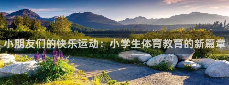 3377体育官方正版app官网