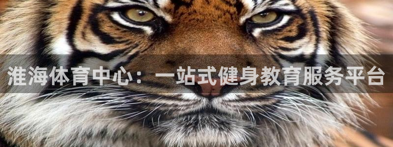 3377体育官网下载平台APP：淮海体育中心：一站式健身教育