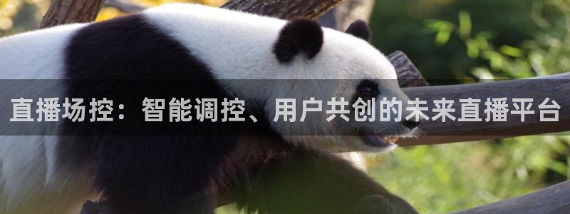 五星体育 在线观看：直播场控：智能调控、用户共创的未来直播平台