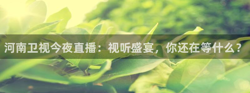 五星体育直播官网入口：河南卫视今夜直播：视听盛宴，你还在等什么？
