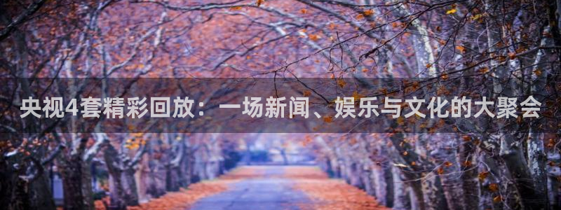 f1直播五星体育回放：央视4套精彩回放：一场新闻、娱乐与文化的大聚会