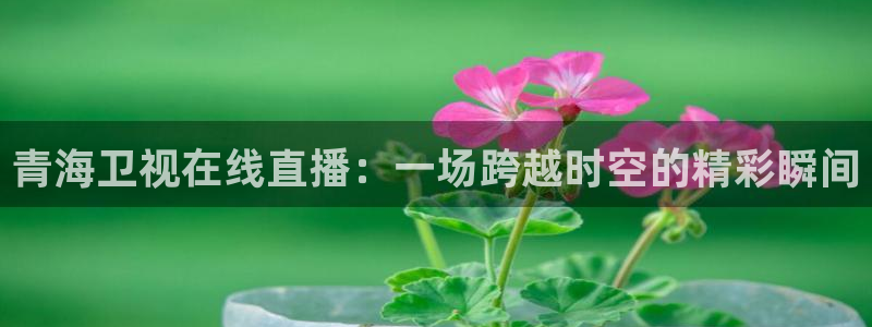 五星体育在线高清直播：青海卫视在线直播：一场跨越时空的精彩瞬间