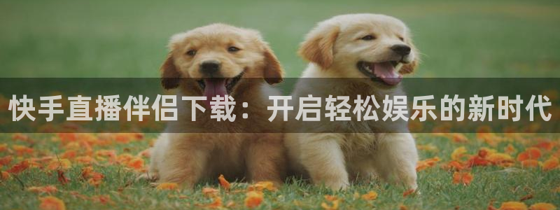 上海五星体育f1：快手直播伴侣下载：开启轻松娱乐的新时代