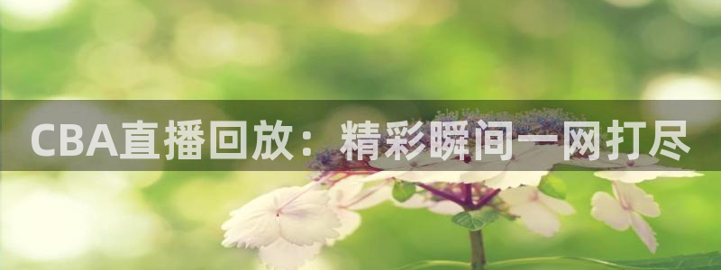 五星体育张效玮：CBA直播回放：精彩瞬间一网打尽