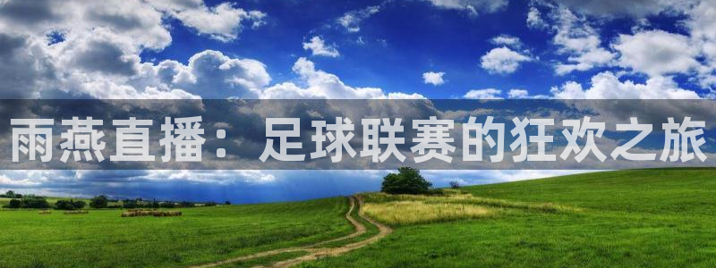 在哪里看五星体育f1直播：雨燕直播：足球联赛的狂欢之旅