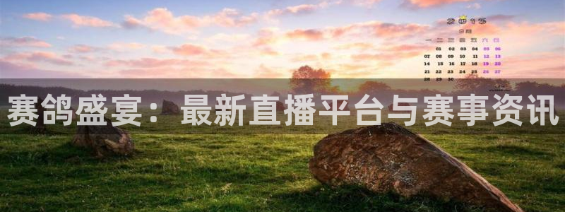五星体育女主持人：赛鸽盛宴：最新直播平台与赛事资讯