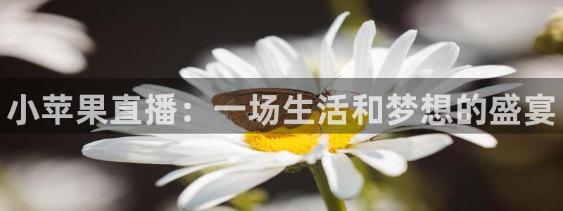 五星体育卫星直播：小苹果直播：一场生活和梦想的盛宴