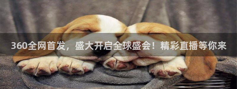 上海五星体育直播：360全网首发，盛大开启全球盛会！精彩直播等你来