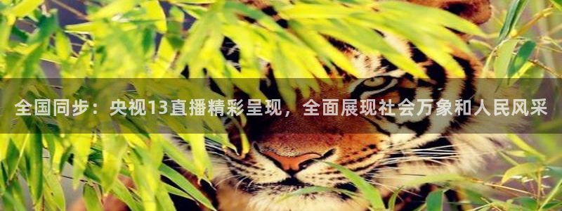 上海五星体育电视直播节目表：全国同步：央视13直播精彩呈现，全面展现社会万象和人民风采